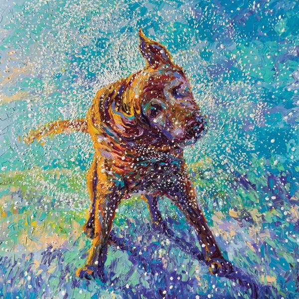 Labrador Retrievers: Twisted Blue by Iris Scott