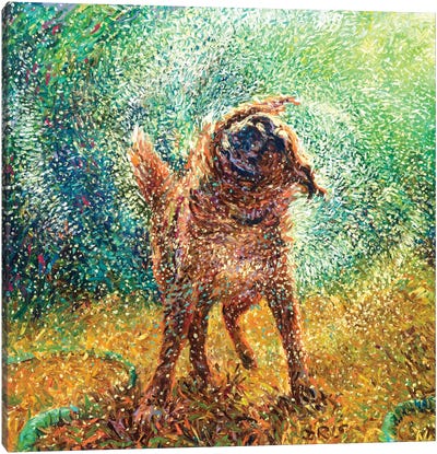 Zoe Canvas Art Print - Best Selling Dog Art
