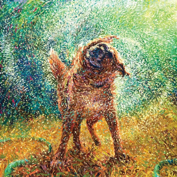 Dogs: Zoe by Iris Scott