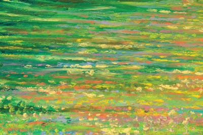 GM 070 by Iris Scott Abstracts canvas print