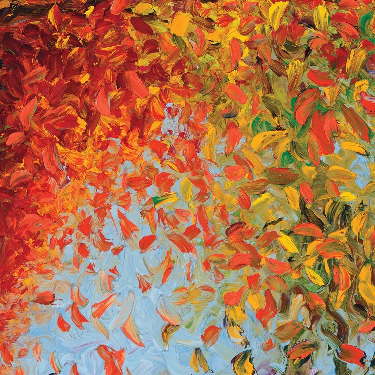 RM 078 by Iris Scott Abstracts wall art