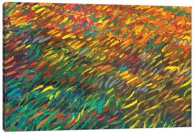 RM 088 Canvas Art Print - Iris Scott Abstracts
