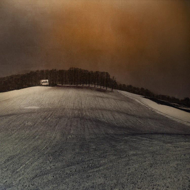 Landscape by Inge Schuster wall art