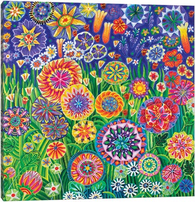 A Meadow Canvas Art Print - Imogen Skelley
