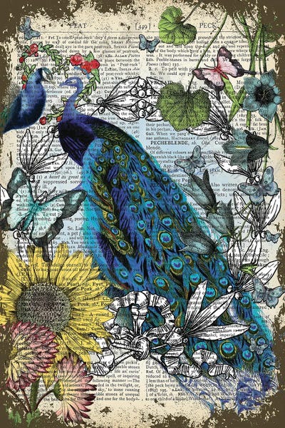 Peacocks by In the Frame Shop art print