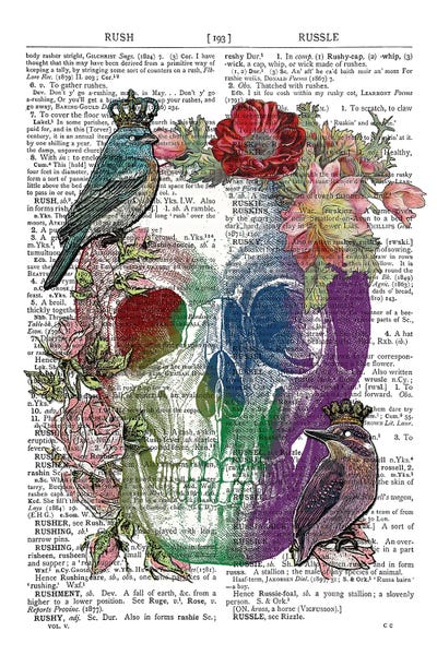 Watercolour Skull by In the Frame Shop art print