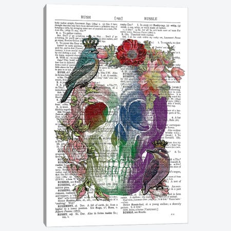 Watercolour Skull Canvas Print #ITF11} by In the Frame Shop Canvas Print