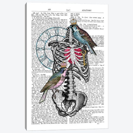 Rib Cage Canvas Print #ITF18} by In the Frame Shop Canvas Art Print