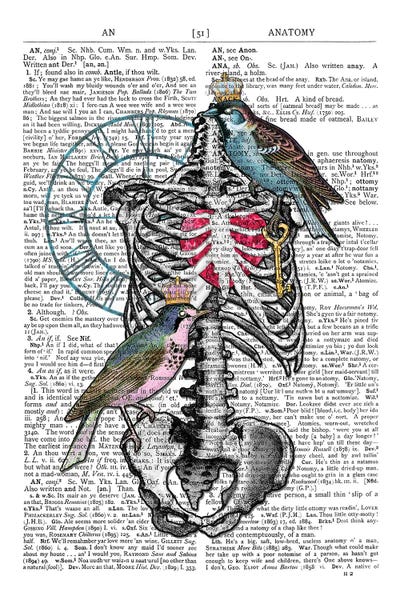 Skeletons: Rib Cage by In the Frame Shop