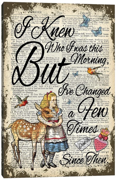 Alice In Wonderland ''I've Changed...'' Canvas Art Print - Animated Movie Art