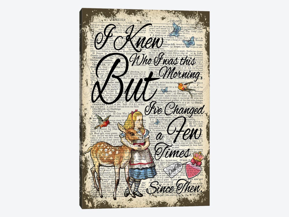 Alice In Wonderland ''I've Changed...'' by In the Frame Shop 1-piece Canvas Wall Art