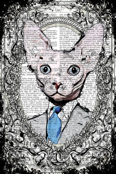 Hairless Cats: Mr Sphynx by In the Frame Shop