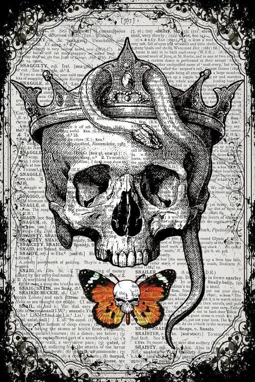 Skull & Snake