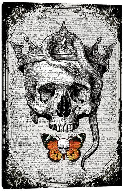 Skull & Snake Canvas Art Print - In the Frame Shop