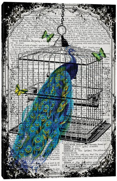 A Peacock In A Bird Cage Canvas Art Print - Peacock Art