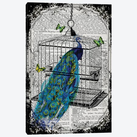 A Peacock In A Bird Cage Canvas Print #ITF93} by In the Frame Shop Canvas Art Print