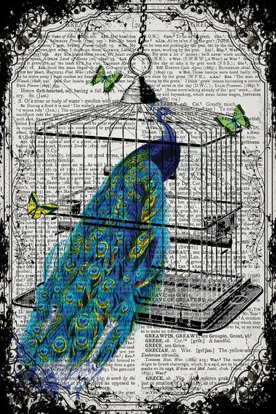 Peacocks: A Peacock In A Bird Cage by In the Frame Shop