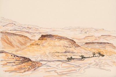 Nahal Nizana by Itzu Rimmer canvas print