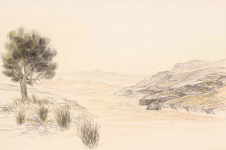 Nahal Zin by Itzu Rimmer wall art