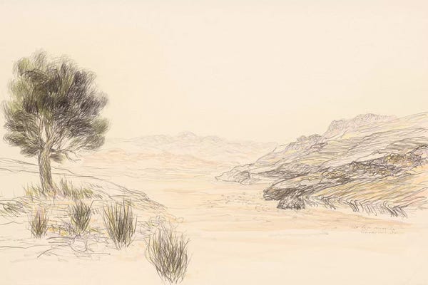 Itzu Rimmer: Nahal Zin by Itzu Rimmer