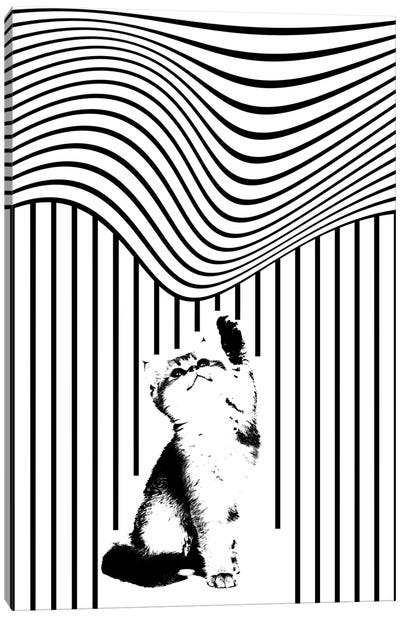 Cat II Canvas Art Print - Ibrahim Unal