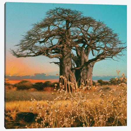 Baobab Of African Nature Canvas Print #IVG100} by Ievgeniia Bidiuk Art Print