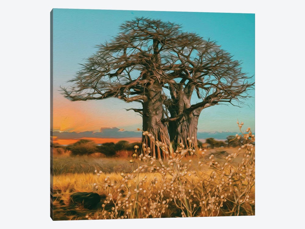 Baobab Of African Nature by Ievgeniia Bidiuk 1-piece Canvas Print