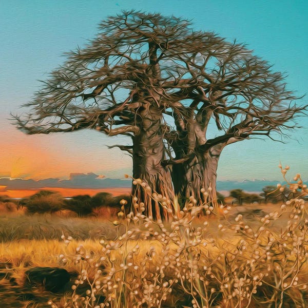 Ievgeniia Bidiuk: Baobab Of African Nature by Ievgeniia Bidiuk