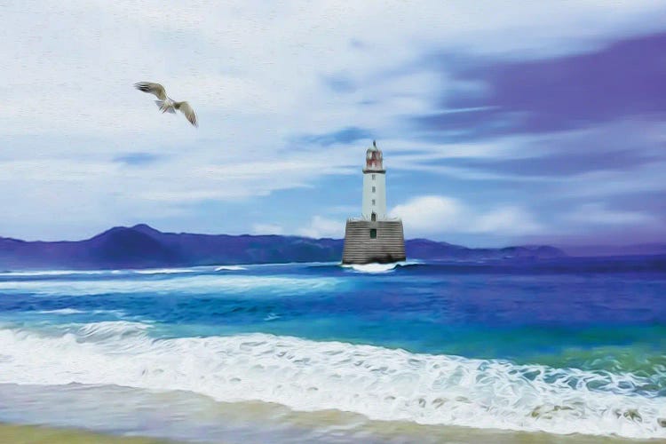 Seagull Lighthouse And Sea