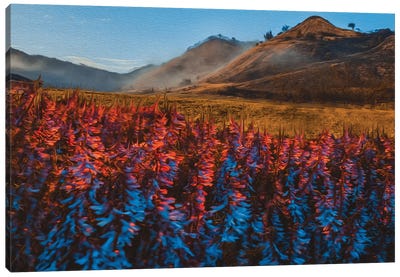 Blooming Sage Canvas Art Print - Herb Art