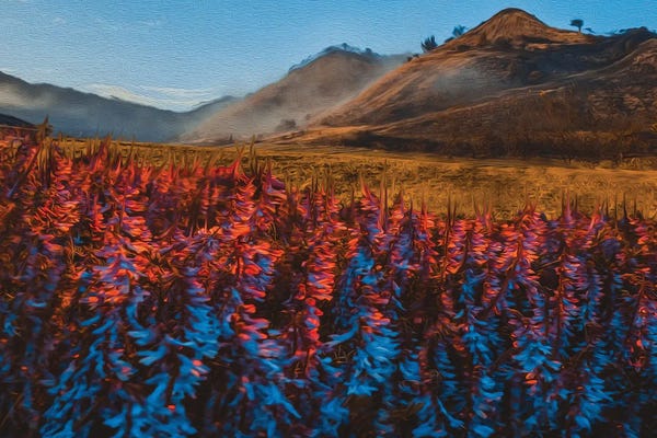 Landscapes In Bloom: Blooming Sage by Ievgeniia Bidiuk