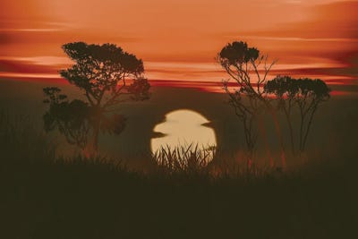 Orange Sunset In The Meadow by Ievgeniia Bidiuk canvas print