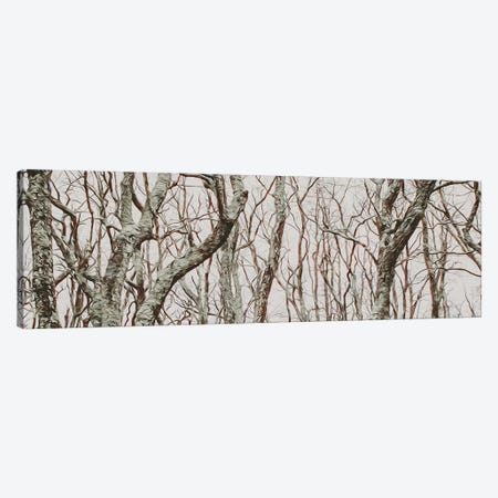 Curved Tree Branches In The Forest Canvas Print #IVG117} by Ievgeniia Bidiuk Art Print