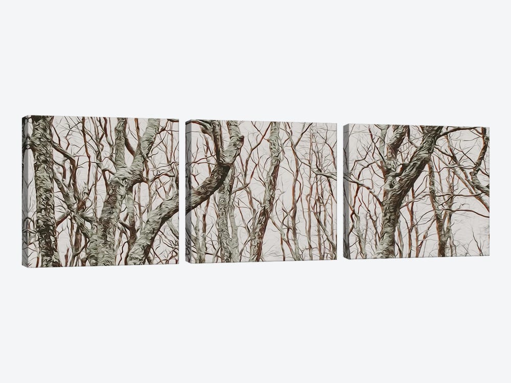 Curved Tree Branches In The Forest by Ievgeniia Bidiuk 3-piece Art Print