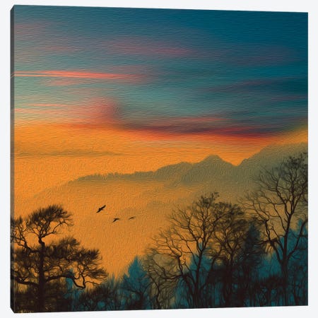 Orange Sunset Over The Forest Canvas Print #IVG118} by Ievgeniia Bidiuk Canvas Art