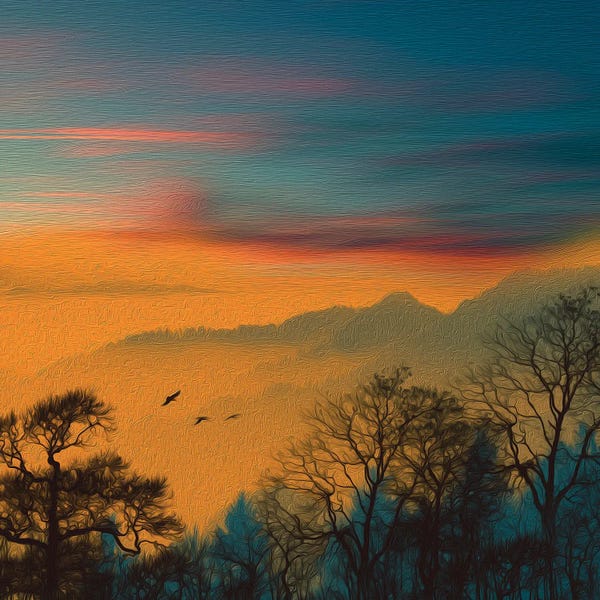Ievgeniia Bidiuk: Orange Sunset Over The Forest by Ievgeniia Bidiuk