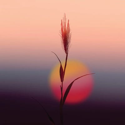 Spike Of Wheat Against by Ievgeniia Bidiuk canvas print