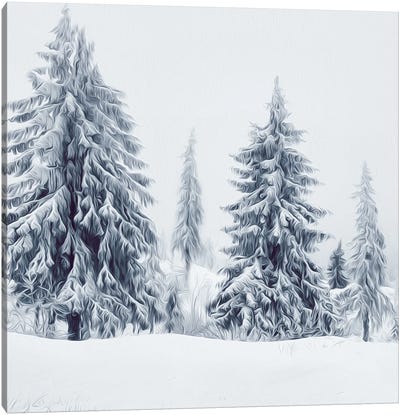 Christmas Trees Canvas Art Print - Ievgeniia Bidiuk