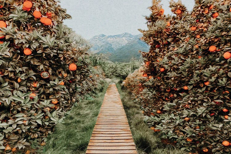 A Tree Path In An Orange Garden by Ievgeniia Bidiuk wall art