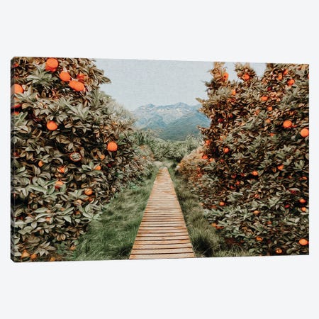 A Tree Path In An Orange Garden Canvas Print #IVG121} by Ievgeniia Bidiuk Canvas Print