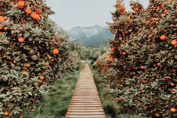 Ievgeniia Bidiuk: A Tree Path In An Orange Garden by Ievgeniia Bidiuk