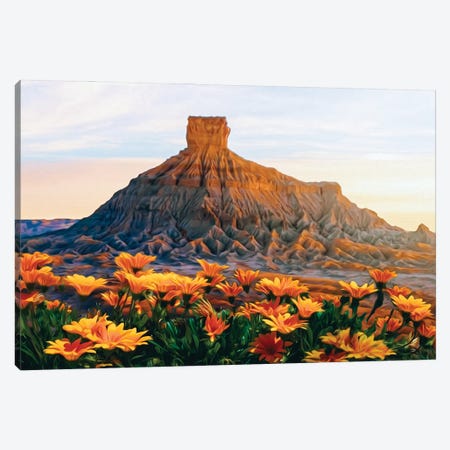 A Flower Meadow Of The Texas Desert Canvas Print #IVG123} by Ievgeniia Bidiuk Canvas Art Print