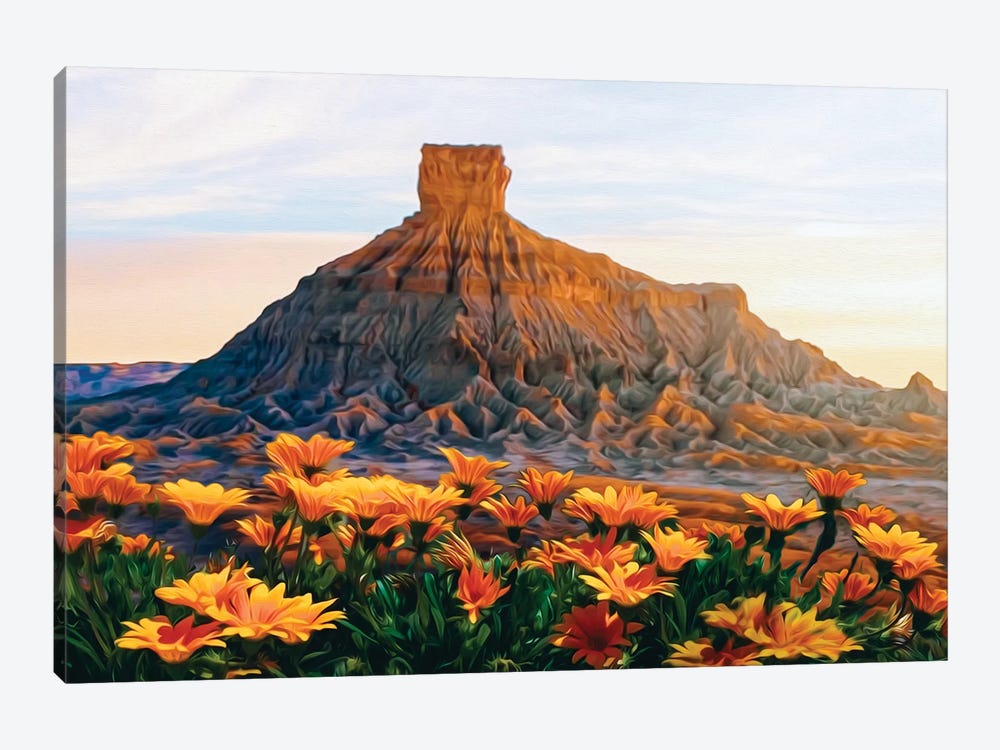 A Flower Meadow Of The Texas Desert by Ievgeniia Bidiuk 1-piece Canvas Art