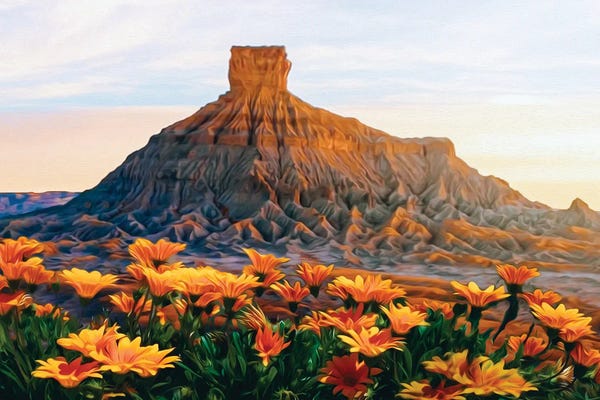 Ievgeniia Bidiuk: A Flower Meadow Of The Texas Desert by Ievgeniia Bidiuk
