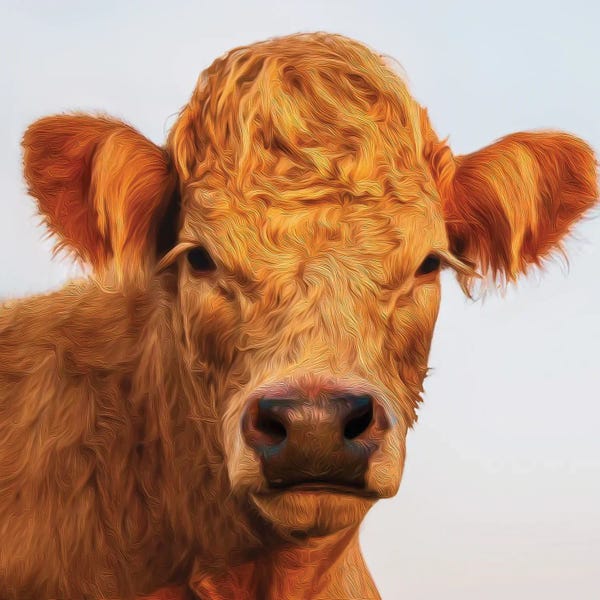 Ievgeniia Bidiuk: Calf Red Cows by Ievgeniia Bidiuk