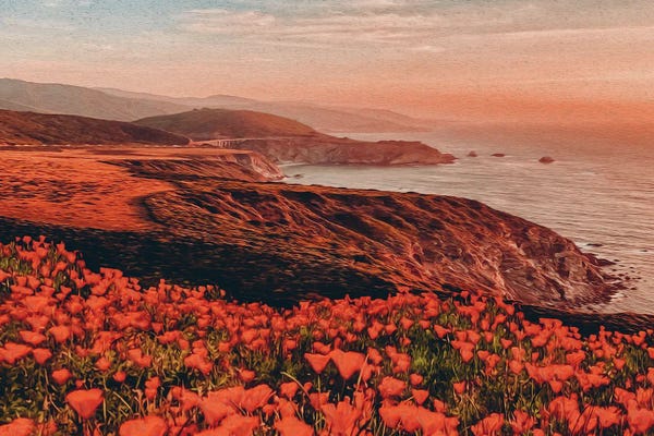 Ievgeniia Bidiuk: Blooming Poppy Meadow Against by Ievgeniia Bidiuk