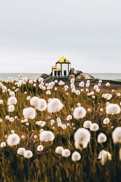 Dandelions: Dandelion Field by Ievgeniia Bidiuk