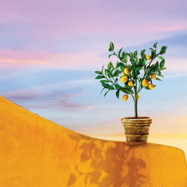 Lemons & Limes: Small Lemon Tree Of The Yellow Facad by Ievgeniia Bidiuk