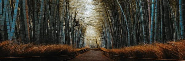 Bamboo: Sagano Bamboo Grove by Ievgeniia Bidiuk