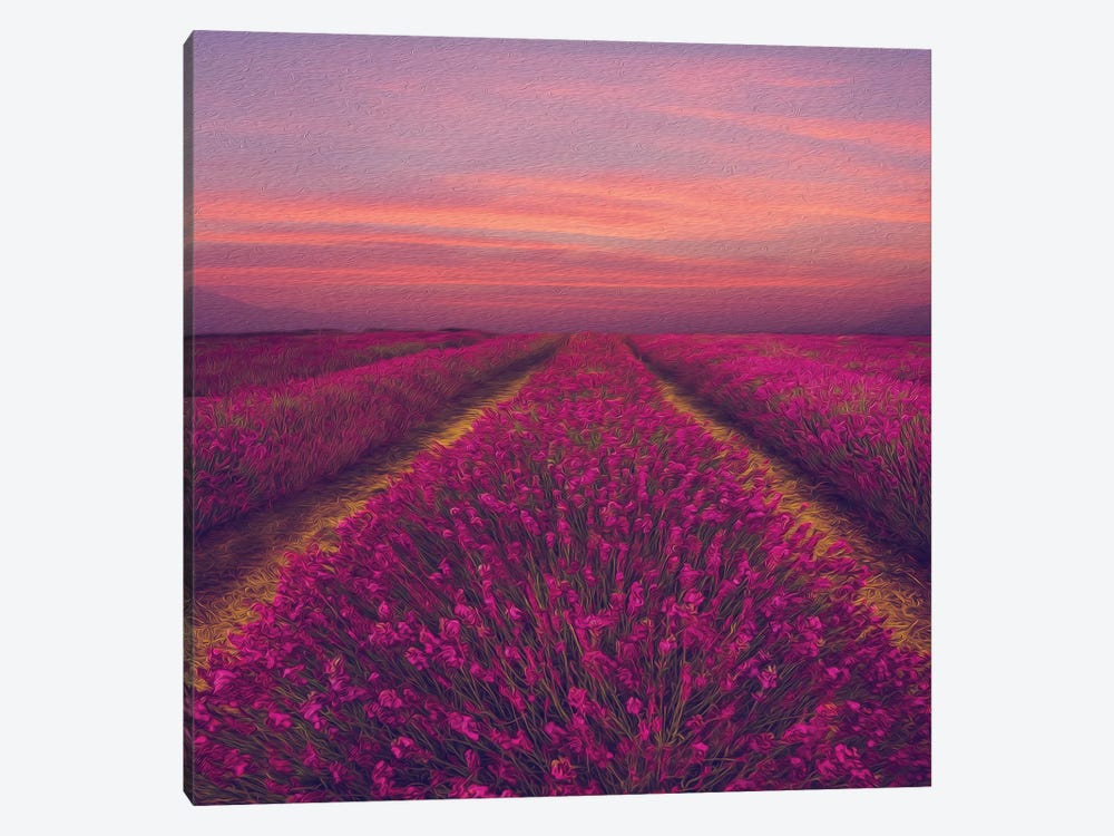 Lavender Field In Pink Shade by Ievgeniia Bidiuk 1-piece Art Print